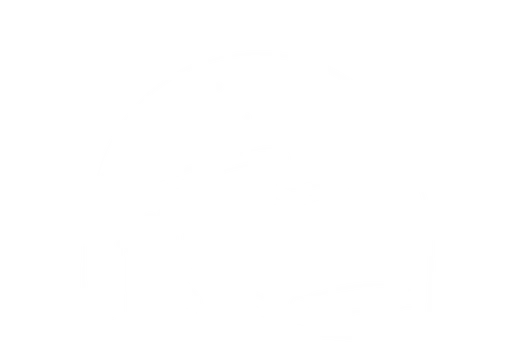 Polar Bear Expedition